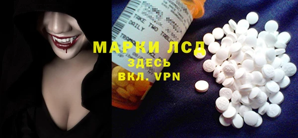 тгк Сатка