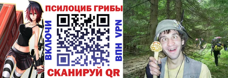 Псилоцибиновые грибы Cubensis это официальный сайт Сунжа