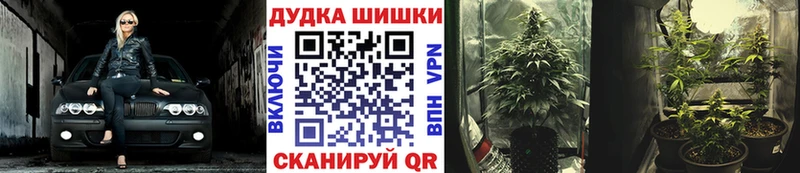 хочу   Сунжа  Канабис гибрид 